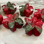 Hair Clip - Speckle Floral Poinsettia