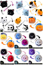 Moody Animals - Pumpkins, Ghost, Dog, & Cat
